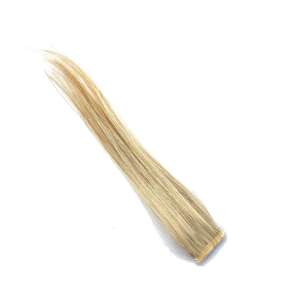 Balayage Blonde Warm Highlights Hair Extension Clip-in