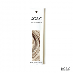 Salt & Pepper Dark Brown Light Straight Clip-in Highlights